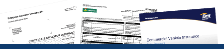 sample policy documents generated by Scheme Trader